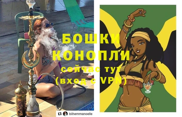 стаф Волосово