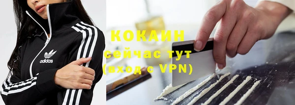 стаф Волосово