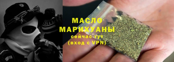 индика Лабытнанги
