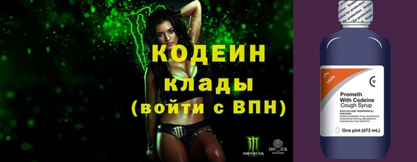 прущие грибы Волоколамск