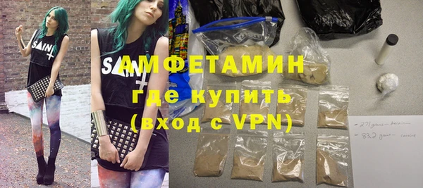 индика Краснослободск
