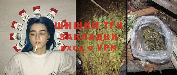 стаф Волосово