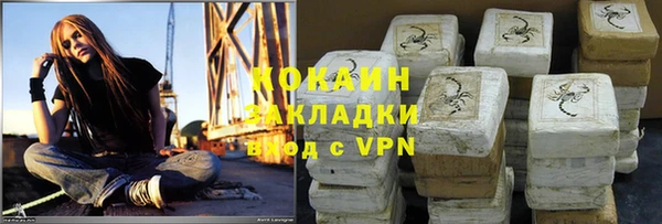 прущие грибы Волоколамск