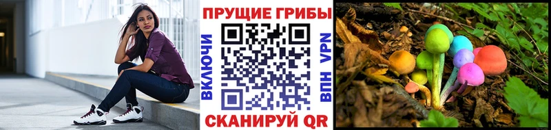 наркошоп  Давлеканово  Галлюциногенные грибы Cubensis 